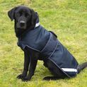 Benji &amp; Flo Waterproof Dog Coat Navy/Reflective Silver additional 8