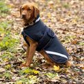 Benji &amp; Flo Waterproof Dog Coat Navy/Reflective Silver additional 1