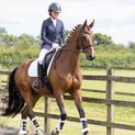 Hy Equestrian Roka Regal Show Jacket Navy additional 7