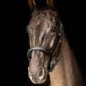 Propresicce Softy Leather Head Collar By Hy Equestrian Brown/Brass Hardware additional 1
