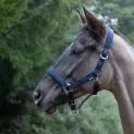 Proreaction Transform Head Collar By Hy Equestrian Hunter Green additional 2