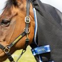 Stormx Empra Extra 200G Turnout Rug With Detachable Neck Black additional 15