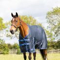 Stormx Empra Reflect 0G Turnout Rug Navy additional 8