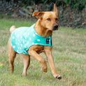 Supreme Products Dotty Fleece Dog Coat Gorgeous Green additional 1