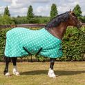 Supreme Products Dotty Fleece Rug Gorgeous Green additional 1