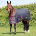 HyCONIC 100g Stable Rug - Charcoal/Red additional 2