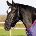 Hy Equestrian Out of this World Head Collar &amp; Lead Rope - NAVY/MAGENTA additional 3