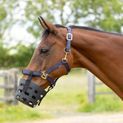 Hy Equestrian Rubber Muzzle - Black additional 3