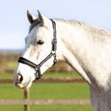 Hy Equestrian Ink Head Collar - Navy/Grey additional 2