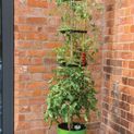 Garland Self Watering Grow Pot Tower additional 1