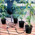 Garland 'Big Drippa' Gravity Fed Drip Watering Kit additional 2