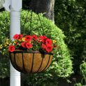 Ambassador Flat Bar Hanging Basket additional 2