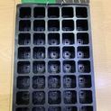Ambassador Seed Tray Inserts (5 Pack) additional 3