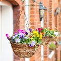 Ambassador Rattan Hanging Basket additional 3
