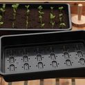 Garland Standard Seed Tray With Holes additional 2