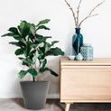 Primeur Tierra Verde Octavia Planter additional 2