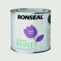 Ronseal Outdoor Garden Paint 250ml additional 21
