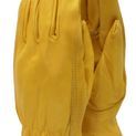 Town &amp; Country Premium - Leather Gloves additional 2