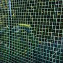 Ambassador Garden Mesh additional 3