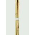 Ambassador Bamboo Canes additional 7