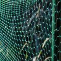 Ambassador Garden Net Green additional 2