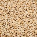 Ambassador Sunflower Hearts additional 1