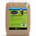 Ambassador Sunflower Hearts additional 2