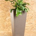 Primeur Sonata Oak Planter additional 3