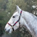 Hy Equestrian Polo Leather Head Collar - Navy/Red additional 3