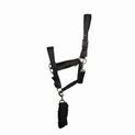 Coldstream Paxton Padded Head Collar &amp; Lead Rope - Latte additional 1