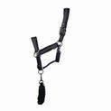 Coldstream Paxton Padded Head Collar &amp; Lead Rope - Latte additional 2