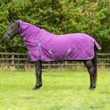 DefenceX Shield 100g Stable Rug with Detachable Neck - Purple additional 6