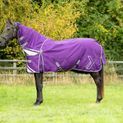 DefenceX Shield 100g Turnout Rug with Detachable Neck - Purple additional 9