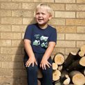 I Dig It Collection T-Shirt by Little Knight - Navy additional 3