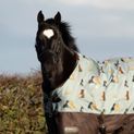 StormX Original It's A Dog's Life 50 Turnout Rug - 6'6" additional 3