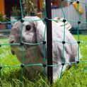 Rabbit Netting 12m x 50cm (Can Be Electrified) additional 3