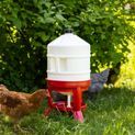 Poultry Waterer 30 litre additional 5