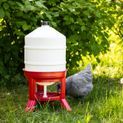 Poultry Waterer 30 litre additional 4