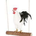 Chicken Swing additional 5