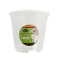 Ambassador Clear Flowerpot additional 2