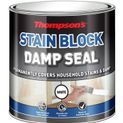 Thompson's Stain Block Damp Seal additional 2