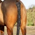 Hy Equestrian Ripstop Tail Guard additional 1