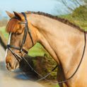 Mackey Classic Padded Flash Bridle additional 4