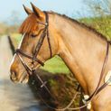 Mackey Classic Padded Flash Bridle additional 1