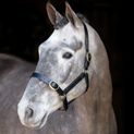Mackey Classic Leather Headcollar additional 3