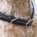 Mackey Rolled Leather Dog Collar Brown (X Small) additional 2