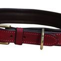 Mackey Padded Leather Dog Collar (X Small) additional 3