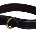 Mackey Padded Leather Dog Collar (X Small) additional 2