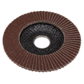 Sealey FD115120E Flap Disc Aluminium Oxide Ø115mm Ø22mm Bore 120Grit additional 4
