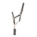 Hy Equestrian Rose Gold Headcollar &amp; Lead Rope Gry/Rose Gold Grey/Rose Gold additional 2